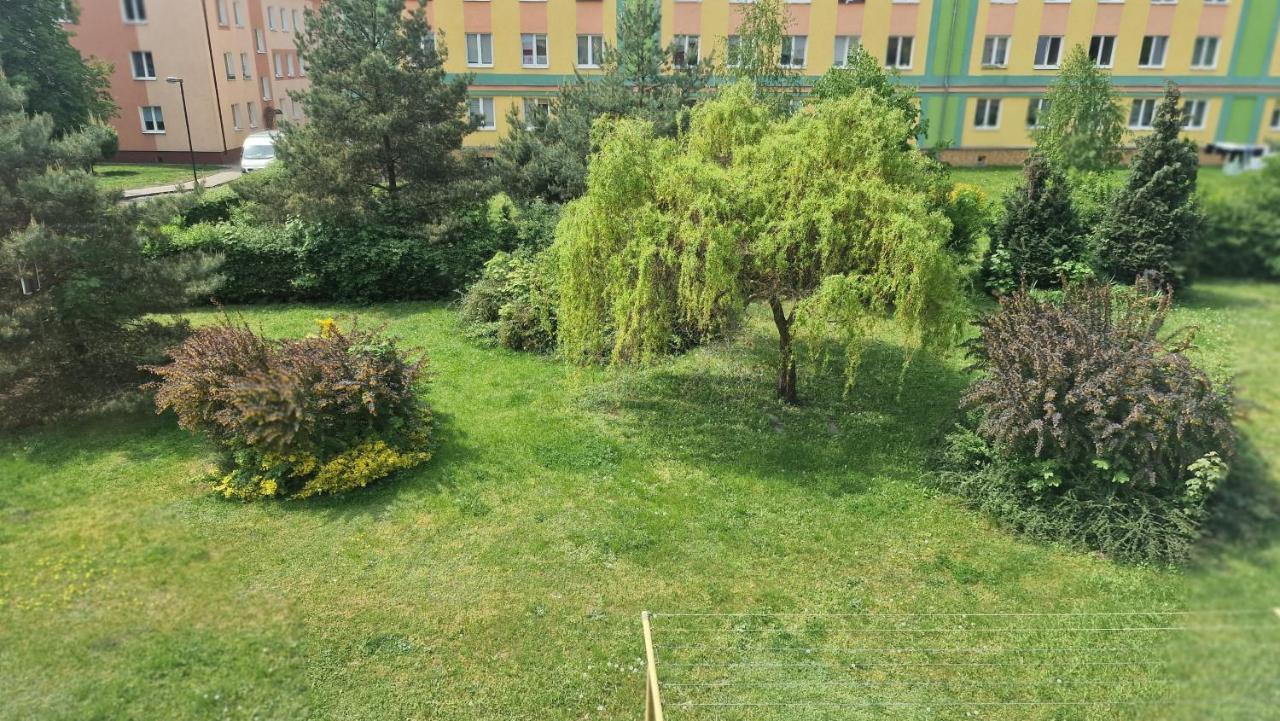 Alfama Garden Daire Grudziądz Dış mekan fotoğraf